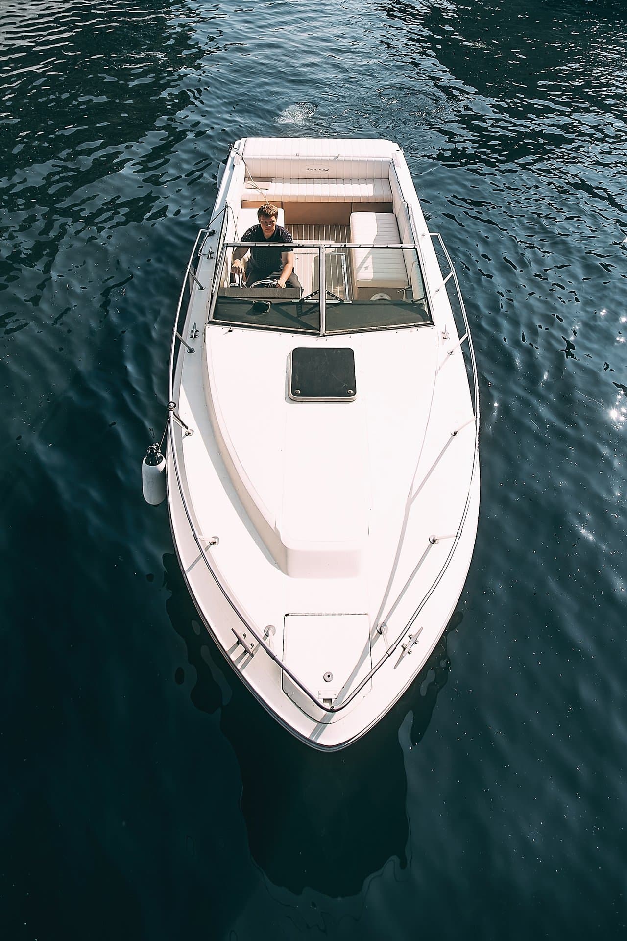Гарибальди (Searay 250) — фото 13