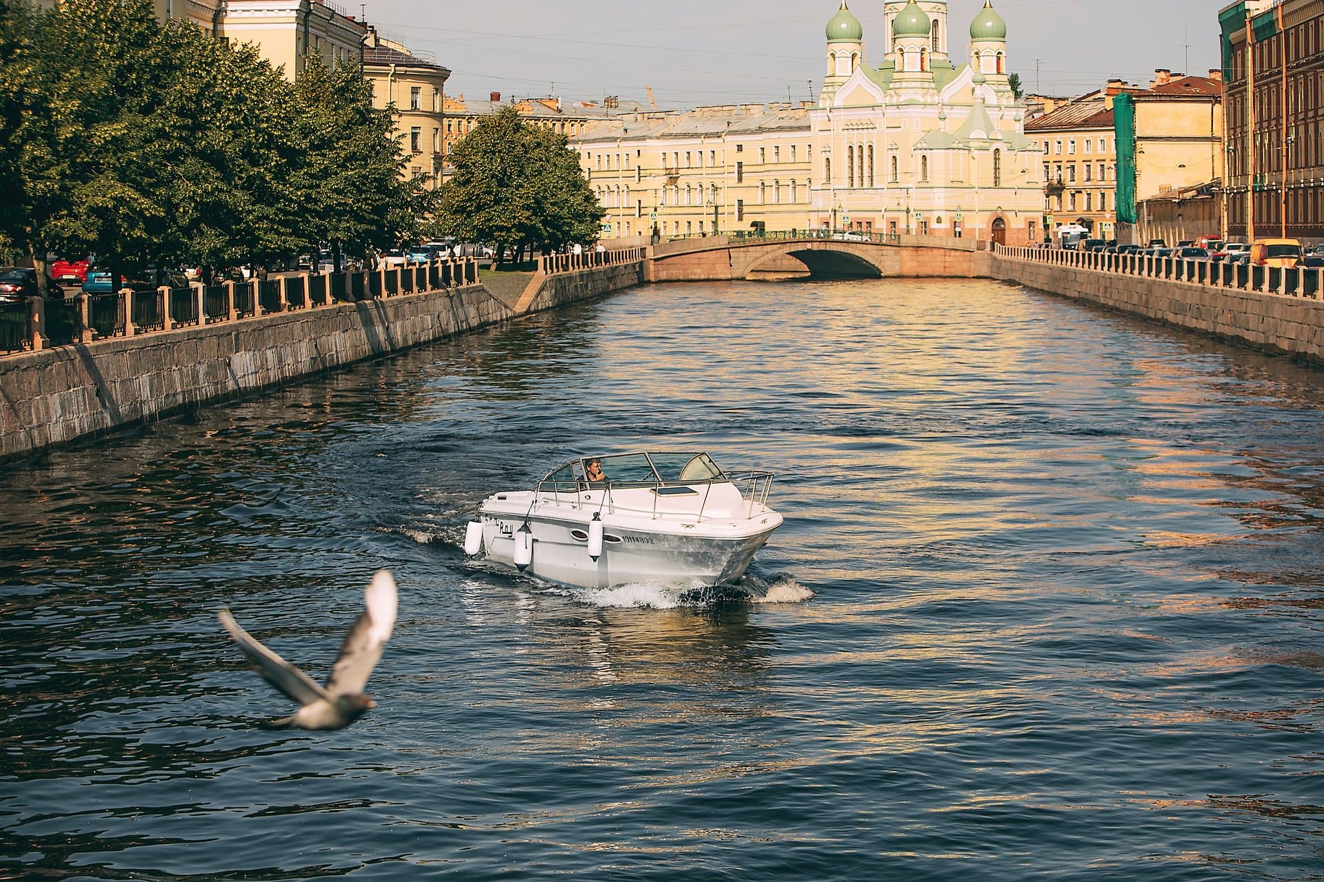 Гарибальди (Searay 250) — фото 15